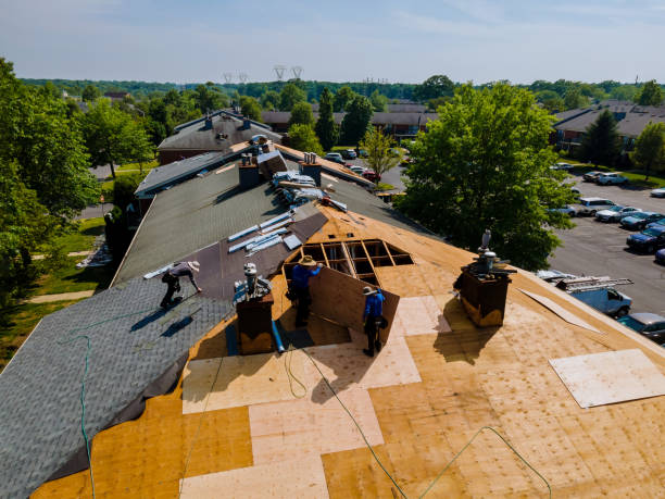 Trusted Storm Damage Roof Repair service in Florahome, FL - Brentwood Metal Roofing